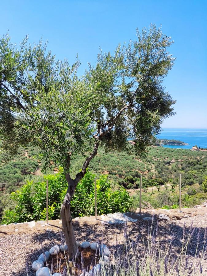Villa Athina'S Stone House In Kardamyli Exterior foto